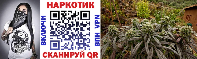 Магазин наркотиков Исилькуль Гашиш  Кокаин  Меф  Конопля 
